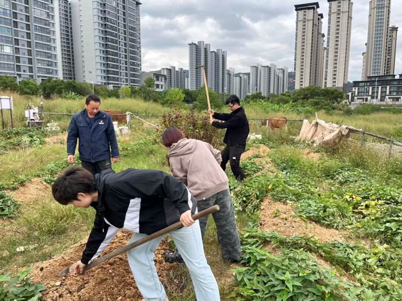 9dfcc030d79411cbd3cd0ffbf98b0d6cfe25d437