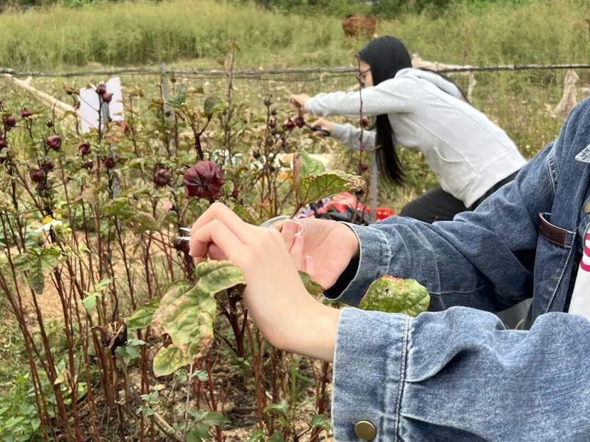 5cb283c9a7a4396767c048fedbeb99240b1c2b62